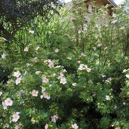 Grand Le Trappeur - 木屋 霞慕尼
